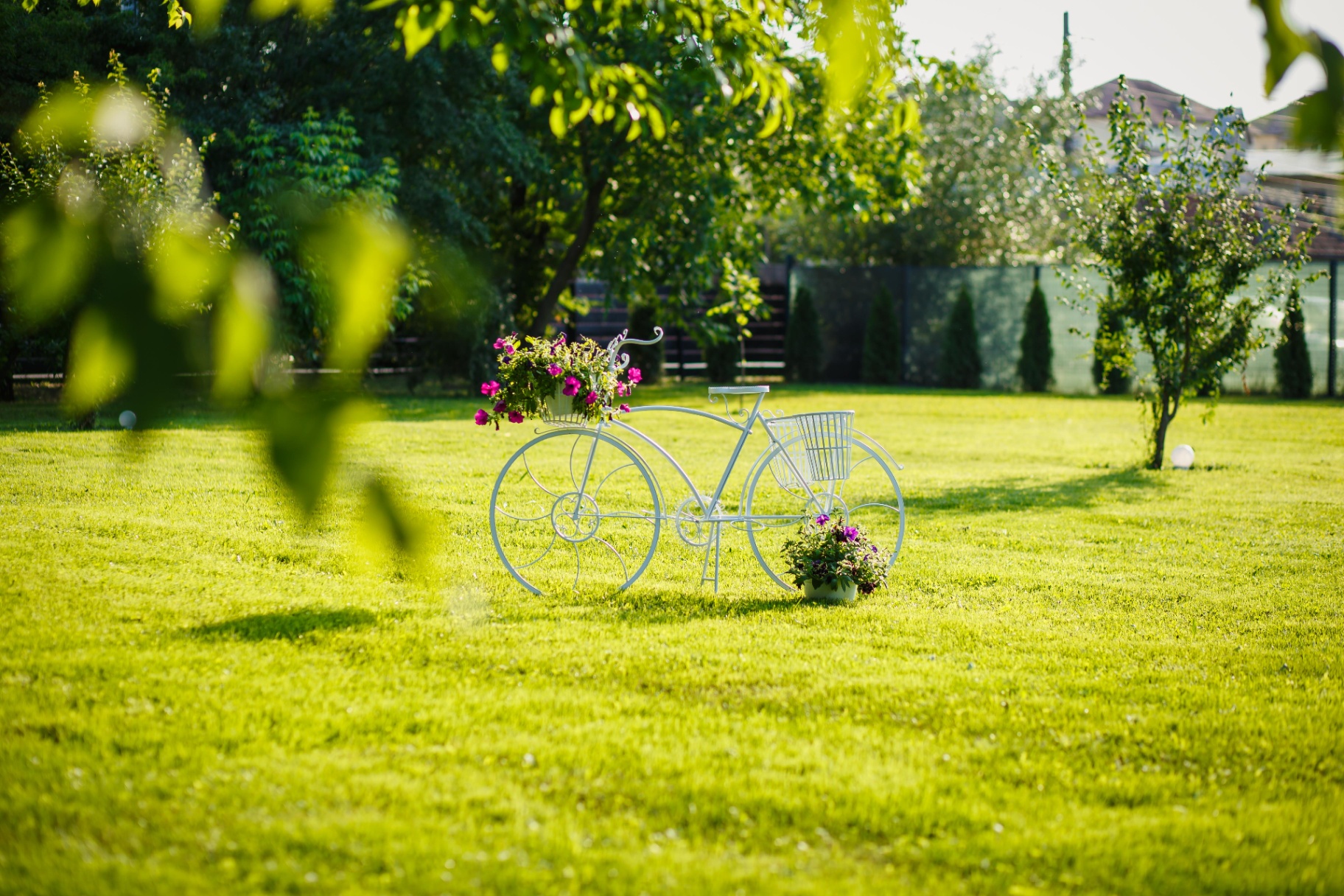 Bicicletă decorativă cu flori în grădină